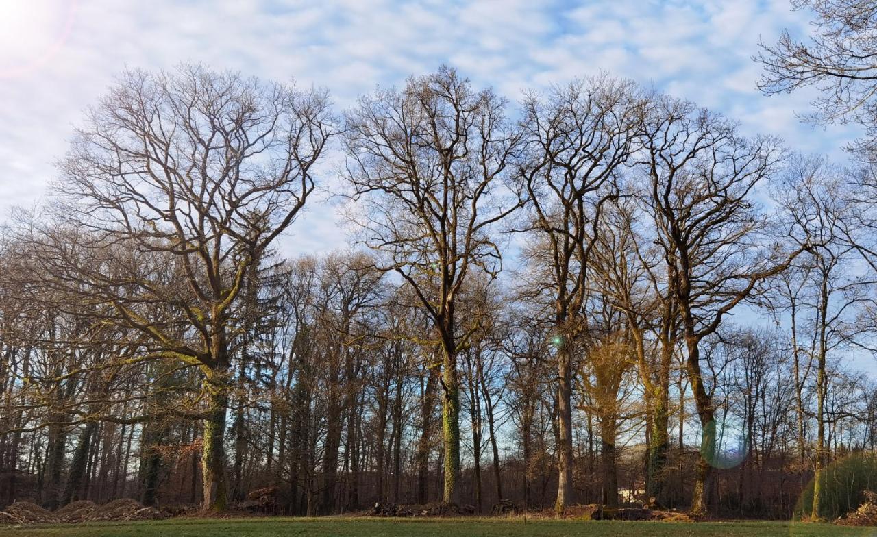 Aux Domaines D'Automne Daire Peronnas Dış mekan fotoğraf