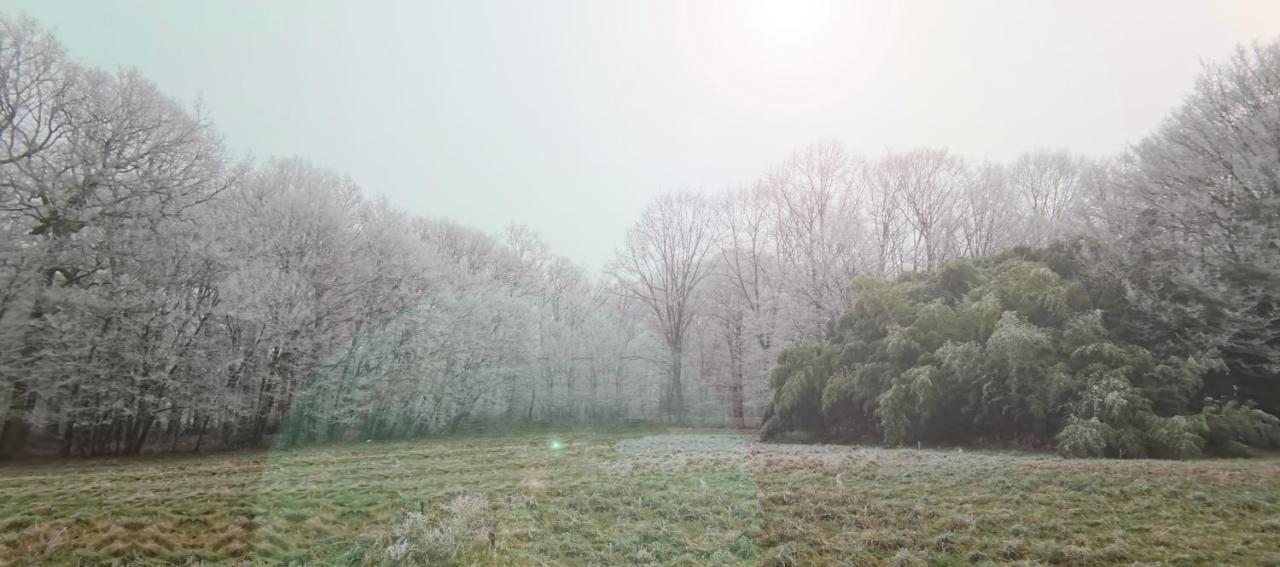 Aux Domaines D'Automne Daire Peronnas Dış mekan fotoğraf